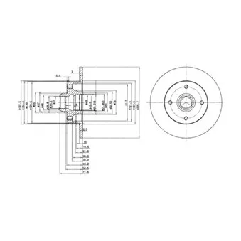 Jeu de 2 disques de frein arrière DELPHI BG2389