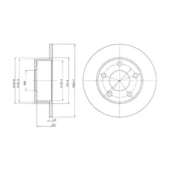 Jeu de 2 disques de frein arrière DELPHI BG2410