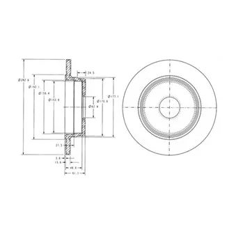 Jeu de 2 disques de frein arrière DELPHI BG2510