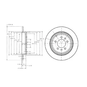 Jeu de 2 disques de frein arrière DELPHI BG2573