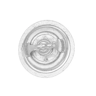 Thermostat d'eau OE 500329622