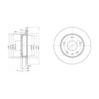 Jeu de 2 disques de frein arrière DELPHI BG2914