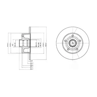 Jeu de 2 disques de frein arrière DELPHI BG3030C