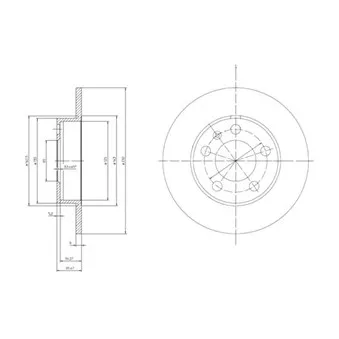 Jeu de 2 disques de frein arrière DELPHI BG3034