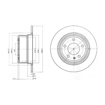Jeu de 2 disques de frein arrière DELPHI BG3038