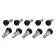 Valve de roue 4MAX WEN TR412FC - Visuel 1
