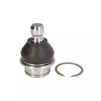 Rotule de suspension 555 SB-N282