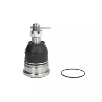 Rotule de suspension 555 SB-S012