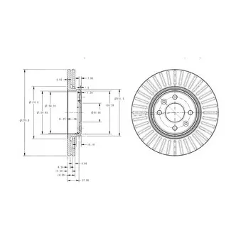 Jeu de 2 disques de frein avant DELPHI BG3430C