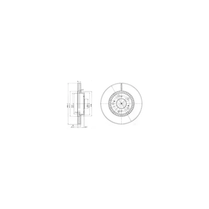 Jeu de 2 disques de frein arrière DELPHI BG3720