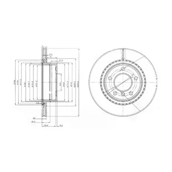 Jeu de 2 disques de frein arrière DELPHI BG3901