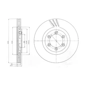 Jeu de 2 disques de frein avant DELPHI BG4112