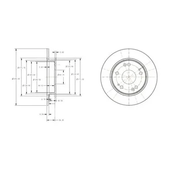Jeu de 2 disques de frein arrière DELPHI BG4118C