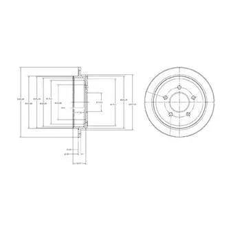 Jeu de 2 disques de frein arrière DELPHI BG4121