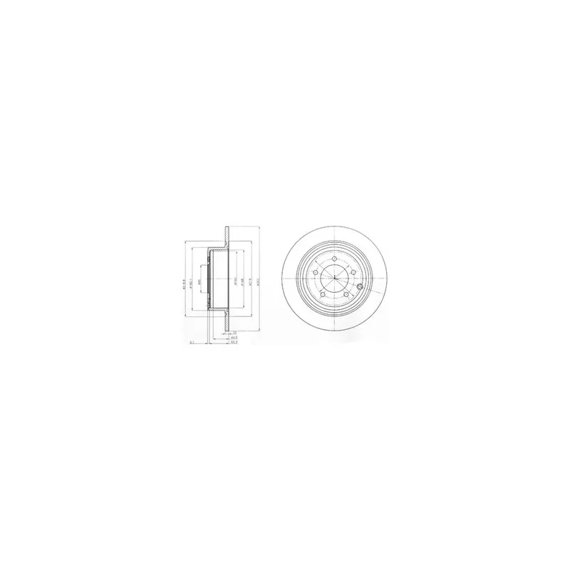 Jeu de 2 disques de frein arrière DELPHI BG4169