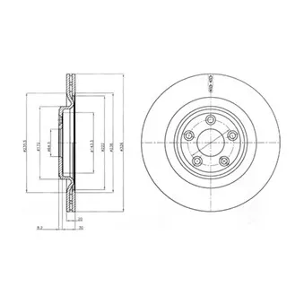 Jeu de 2 disques de frein arrière DELPHI BG4202