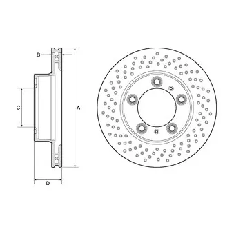 Jeu de 2 disques de frein avant DELPHI BG4769C