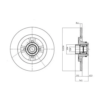 Jeu de 2 disques de frein arrière DELPHI BG9025RSC