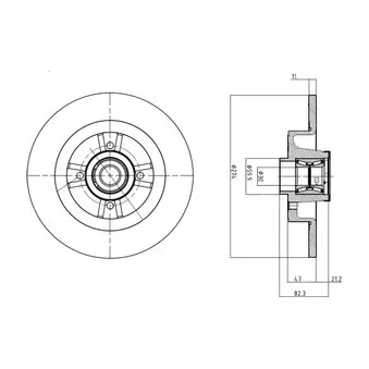 Jeu de 2 disques de frein arrière DELPHI BG9030RS