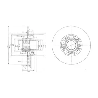 Jeu de 2 disques de frein arrière DELPHI BG9031RS