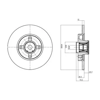 Jeu de 2 disques de frein arrière DELPHI BG9053RSC