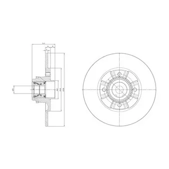 Jeu de 2 disques de frein arrière DELPHI BG9114RSC