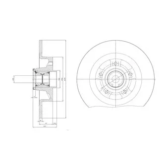 Jeu de 2 disques de frein arrière DELPHI