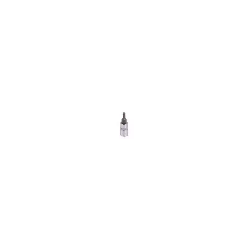 Embout BTR sur douille 1/4" SONIC 8103706