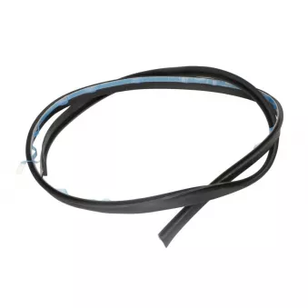 Joint de vitre SAINT-GOBAIN SEKURIT 1003501850