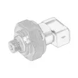 Capteur OE 500377533 - Visuel 1