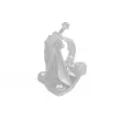 Support d'essieu moteur OE 8200919080 - Visuel 2