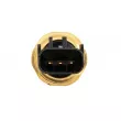 Indicateur de pression d'huile STANDARD PS317 STD - Visuel 2