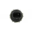Indicateur de pression d'huile STANDARD PS404 STD - Visuel 2