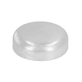 Bouchon antigel OE 1455107