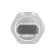 Capteur, pression de carburant OE 13537614317 - Visuel 2