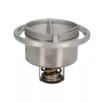 Thermostat d'eau OE
