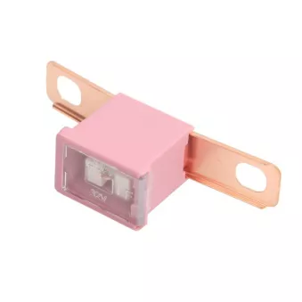 Fusible LITTELFUSE BEZP295030
