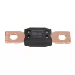 Fusible LITTELFUSE BEZP298400 - Visuel 2