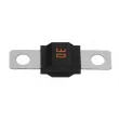 Fusible LITTELFUSE BEZP498030 - Visuel 2