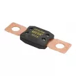 Fusible LITTELFUSE BEZP298100 - Visuel 1