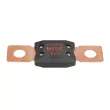 Fusible LITTELFUSE BEZP298080 - Visuel 2