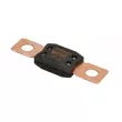 Fusible LITTELFUSE BEZP298150 - Visuel 1