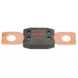 Fusible LITTELFUSE BEZP298150 - Visuel 2