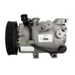 Compresseur, climatisation TEAMEC TM8623392 - Visuel 1