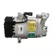 Compresseur, climatisation TEAMEC 8600178 - Visuel 1