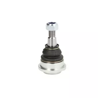 Rotule de suspension TEN CAR S042