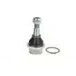 Rotule de suspension TEN CAR S046 - Visuel 1