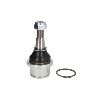 Rotule de suspension TEN CAR S062