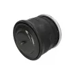 Ressort pneumatique, suspension pneumatique TIP TOPOL ABM 506-31 D04 - Visuel 2