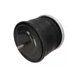 Ressort pneumatique, suspension pneumatique TIP TOPOL ABM 506-31-D05 - Visuel 2